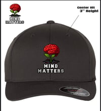 Image 2 of Hat