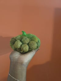 Begamot