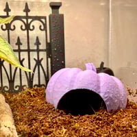 Image 10 of FHOS - Large / Terrestrial Hides