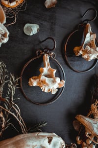 Image 4 of Bone hoop hangers