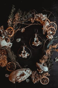 Image 5 of Bone hoop hangers