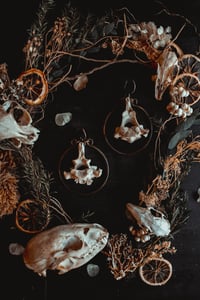 Image 6 of Bone hoop hangers
