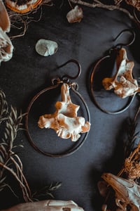 Image 7 of Bone hoop hangers