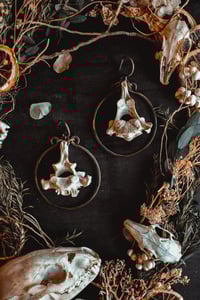 Image 8 of Bone hoop hangers