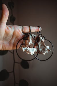 Image 3 of Bone hoop hangers