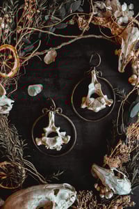 Image 1 of Bone hoop hangers