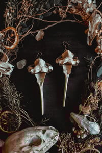 Image 1 of deer vertebra earrings 