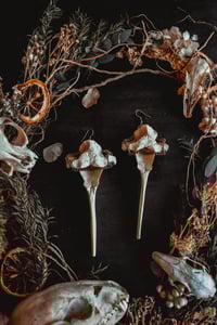 Image 2 of deer vertebra earrings 