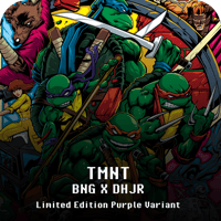 Image 1 of DHJ X BNG TMNT Purple Variant Giclee Print