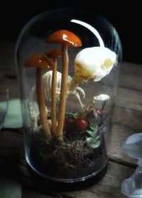 Image 2 of Bunny Skeleton and Mushroom Glass Dome