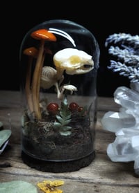 Image 4 of Bunny Skeleton and Mushroom Glass Dome