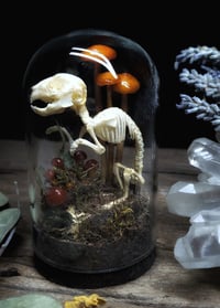 Image 1 of Bunny Skeleton and Mushroom Glass Dome