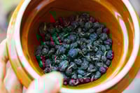 Image 2 of Mid-Autumn Festival Tea Ceremony with Mooncakes 05/10/2025