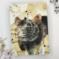 Rat king postikortti