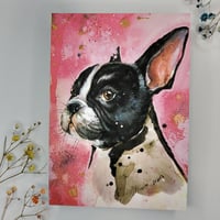 Bostoninterrieri postikortti