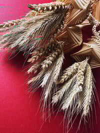 Image 5 of Norfolk Lantern