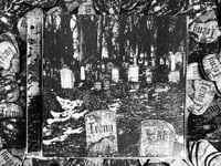 Image 1 of TRENY "ODLICZANIE DO NICOŚCI" #ISR CD EDITION