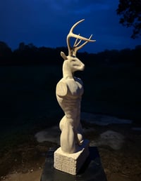 Image 3 of NATURE’S ANOMALY 