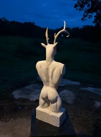 Image 5 of NATURE’S ANOMALY 