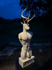 Image 1 of NATURE’S ANOMALY 