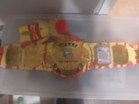 Image 2 of Hulk Hogan champion 