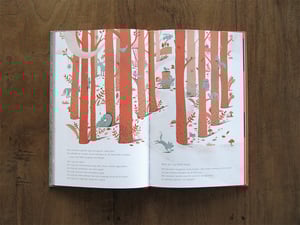 Image of Het Prullalamonster - Book