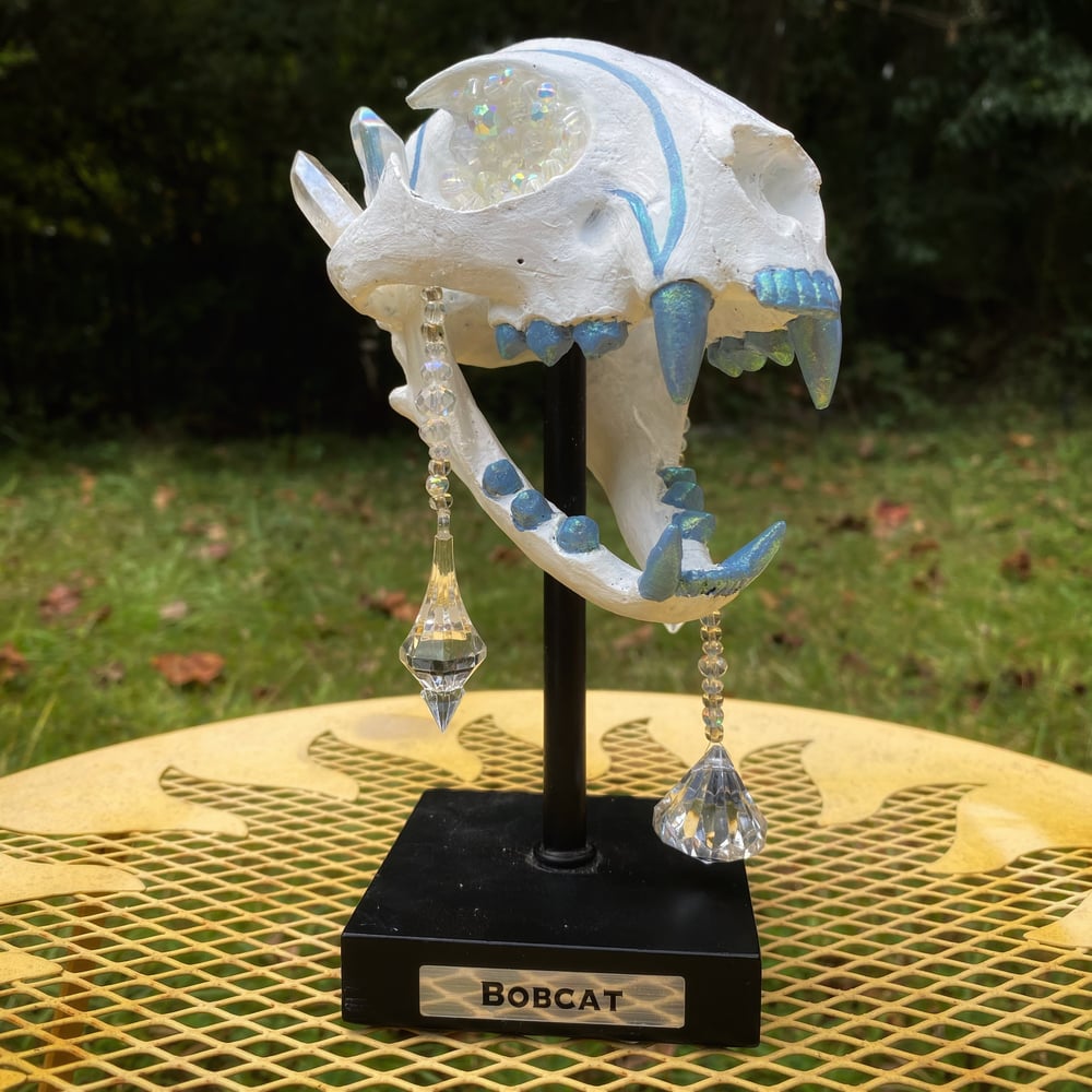 Image of Crystal Maw 