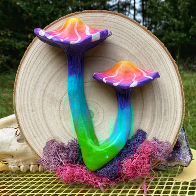 Image of Psychedelic Sunset 