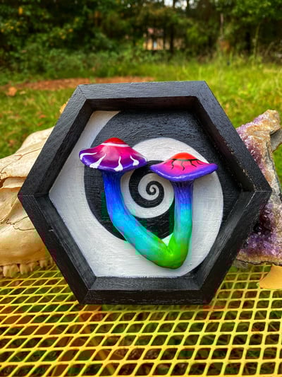 Image of Psychedelic Twins Shadowbox