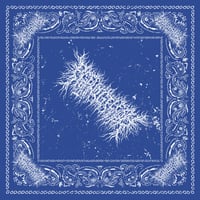 Blue Bandana