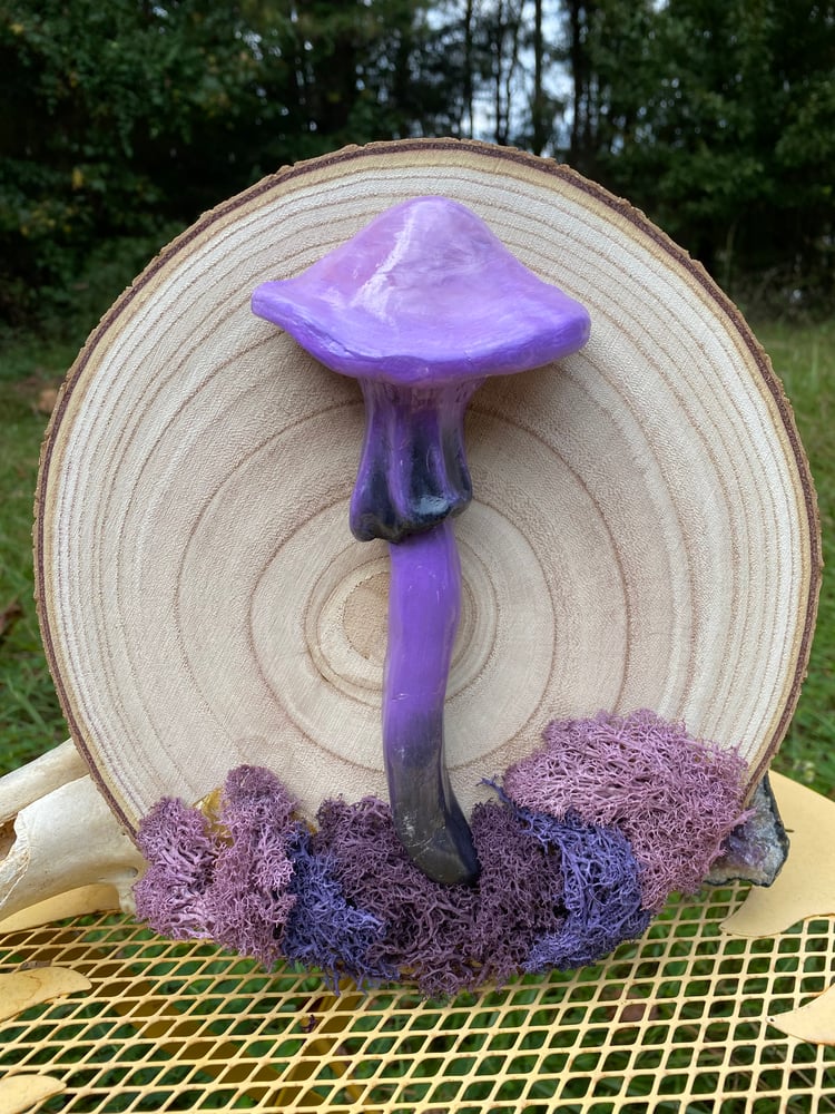 Image of Amethyst Cap