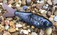 Image 6 of  Custom Airbrushed Glide Bait 0831