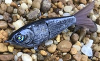 Image 7 of  Custom Airbrushed Glide Bait 0831