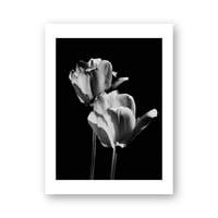 Anne-Sophie Soudoplatoff 2