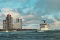 Image 3 of Kourtney Roy - The Tourist (SIGNED)