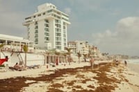 Image 8 of Kourtney Roy - The Tourist (SIGNED)