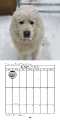 Image 2 of 2026 Apifera Farm Calender