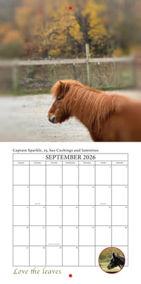 Image 10 of 2026 Apifera Farm Calender