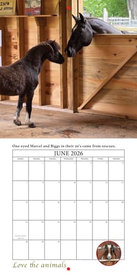 Image 7 of 2026 Apifera Farm Calender