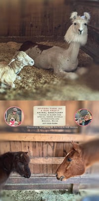 Image 14 of 2026 Apifera Farm Calender