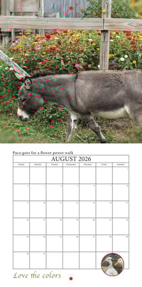 Image 9 of 2026 Apifera Farm Calender