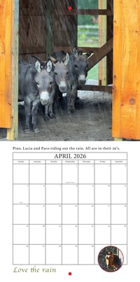 Image 5 of 2026 Apifera Farm Calender