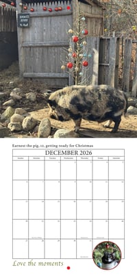 Image 13 of 2026 Apifera Farm Calender
