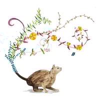 Carte de vœux "Chat" 