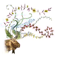 Carte de vœux "Orignal"