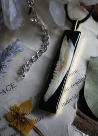 Image 3 of Jawbone Pendant