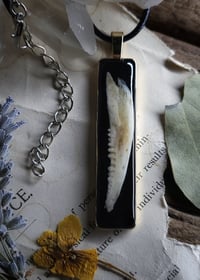Image 4 of Jawbone Pendant