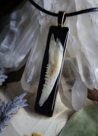Image 1 of Jawbone Pendant