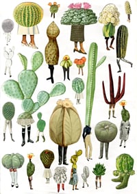 Cacti 1