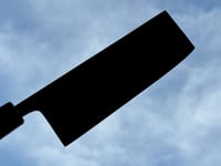 Image 4 of 183MM NAKIRI #312